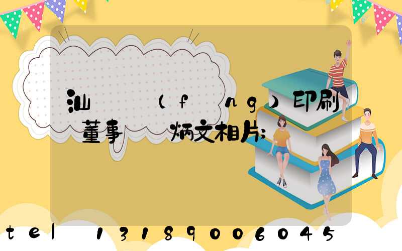 汕頭東風(fēng)印刷廠董事長黃炳文相片